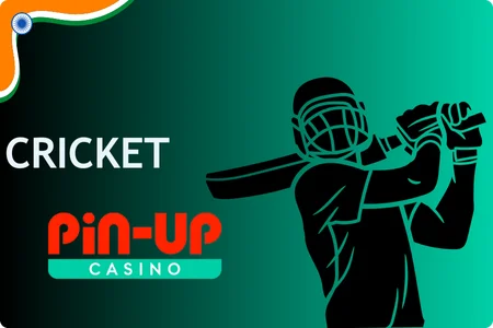 Cricket Pin Up betting APK